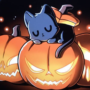 Meet your Posher, Gracie